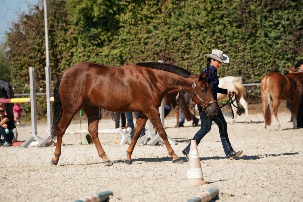 s_A_907560.JPG